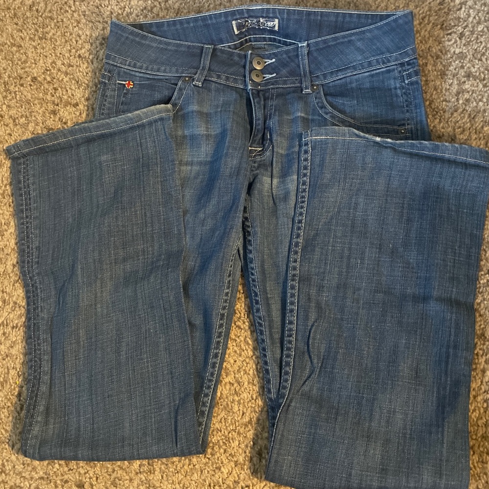 Hudson flare denim